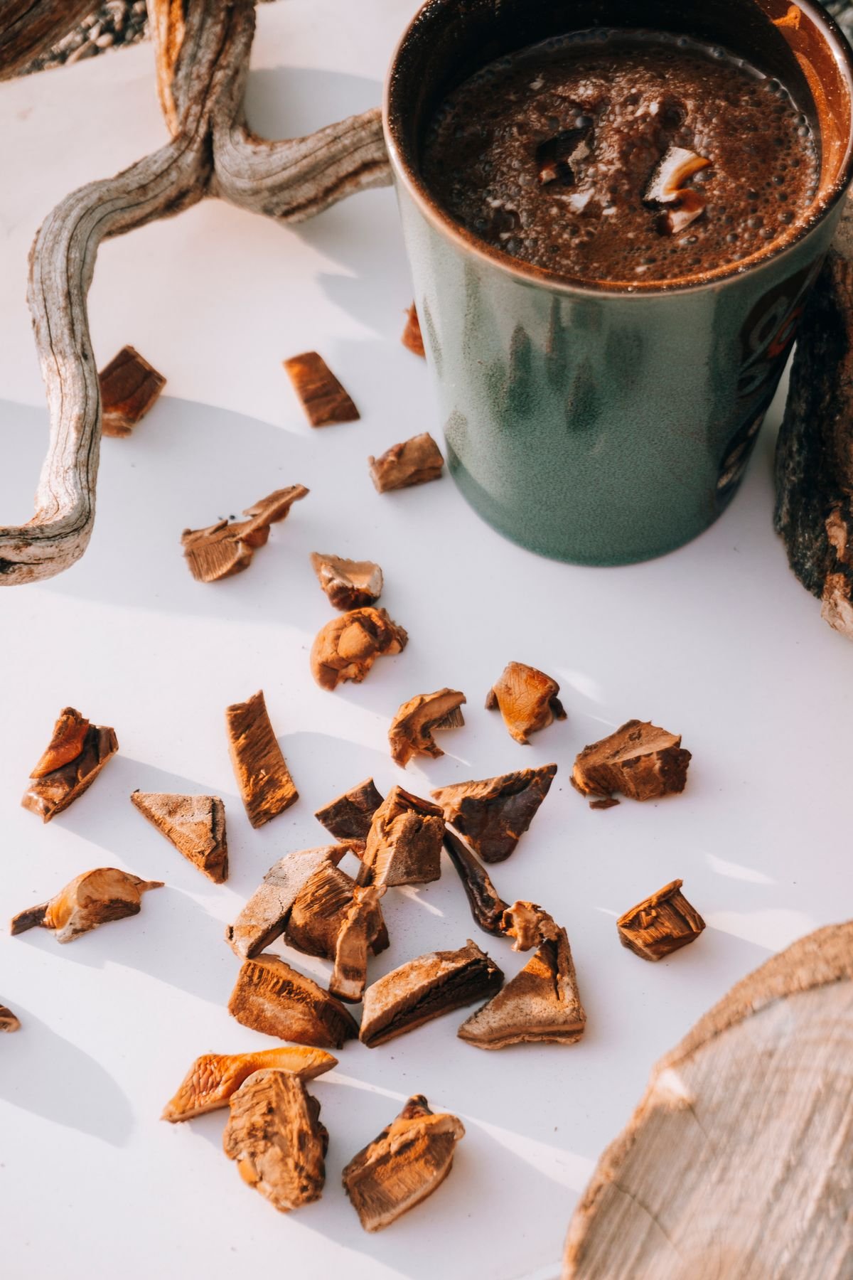 Ganoderma