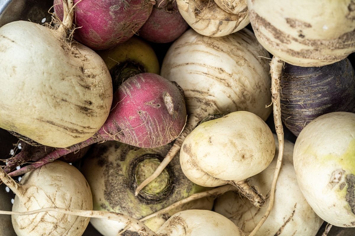 Maca